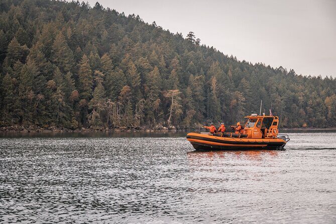 Whale Watching Nanaimo Open Boat Tour - Key Things That Make This Nanaimo Whale Watching Trip Worth It