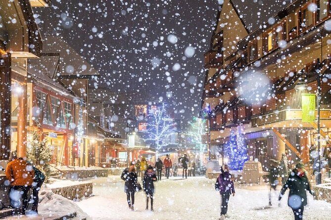 Whistler 1-Day Tour from Vancouver (Chn&Eng) - Shannon Falls Provincial Park: The One Stop That’s Simple and Worth It