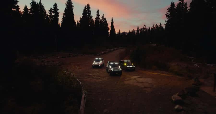 Whistler: Afternoon Bears Spotting Tour in Land Rover - What you’ll learn from the nature guide and photographer team
