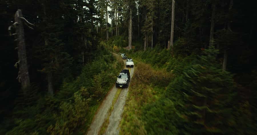 Whistler: Afternoon/Evening Bear Viewing Scenic Tour - Quick tips before you go: what to pack and how to make the most of the drive