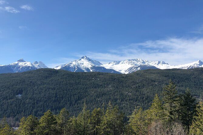 Whistler and Sea to Sky Gondola, a Fire and Ice Discovery Tour - Priority Sea to Sky Gondola at Habrich Ridge: where the views are the payoff