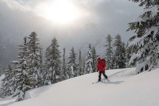 Whistler Backcountry Skiing and Splitboarding - The Gondola Start That Sets Your Whole Day Up