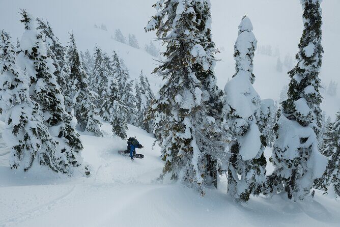 Whistler Backcountry Skiing and Splitboarding - Gear and Rentals: What You’ll Need Before You Go