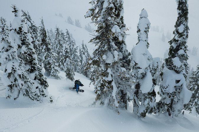 Whistler Backcountry Skiing and Splitboarding - Price and Value: Is $669.12 Worth It?