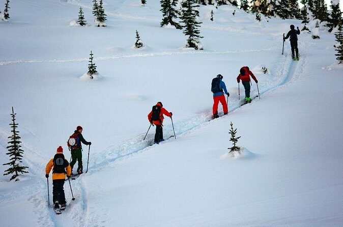 Whistler Backcountry Skiing and Splitboarding - Who This Whistler Backcountry Tour Suits Best