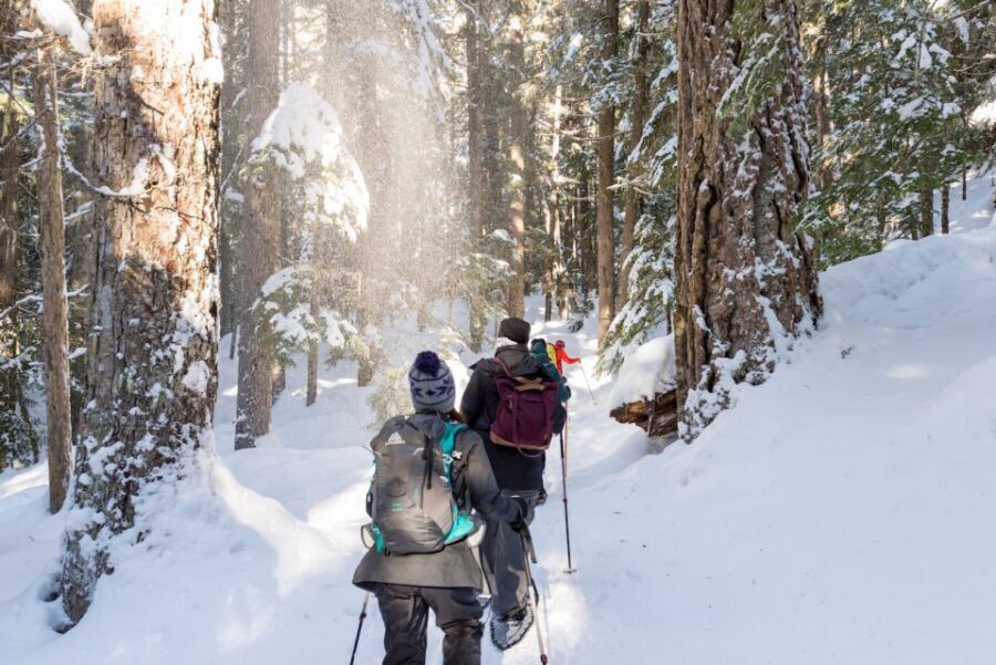 Whistler: Backcountry Snowshoeing Tour with Guide - Gear and comfort: the small details that prevent misery