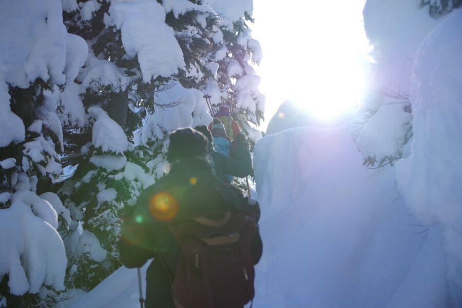 Whistler: Backcountry Snowshoeing Tour with Guide - Old-growth forests, lake views, and the right kind of effort