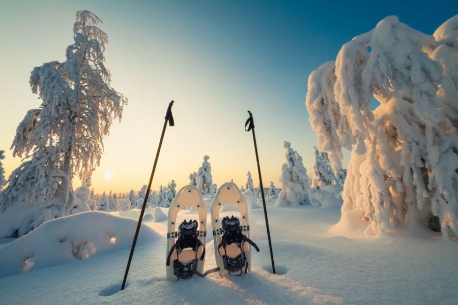 Whistler: Backcountry Snowshoeing Tour with Guide - Lava Lake: beginner-friendly walking with bridges and ponds
