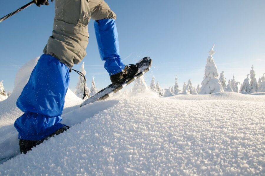Whistler: Backcountry Snowshoeing Tour with Guide - What your day usually looks like (and why 4–8 hours is the sweet spot)