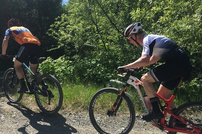 Whistler Full-Day Mountain Bike Tour - Key Highlights You’ll Actually Care About