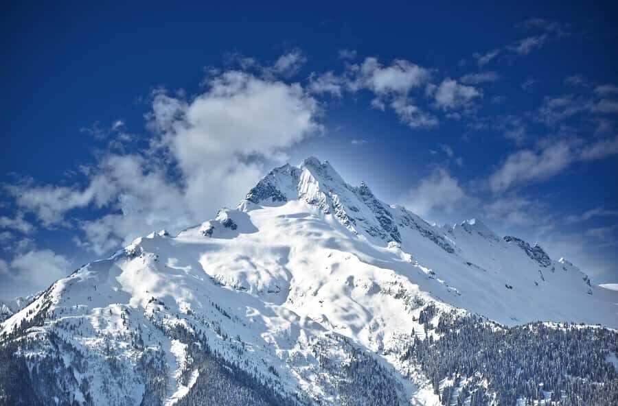 Whistler: Glacier Helicopter Tour over Wedge Mountain - Price and Value: Does $147 Make Sense for a 29-Minute Tour?