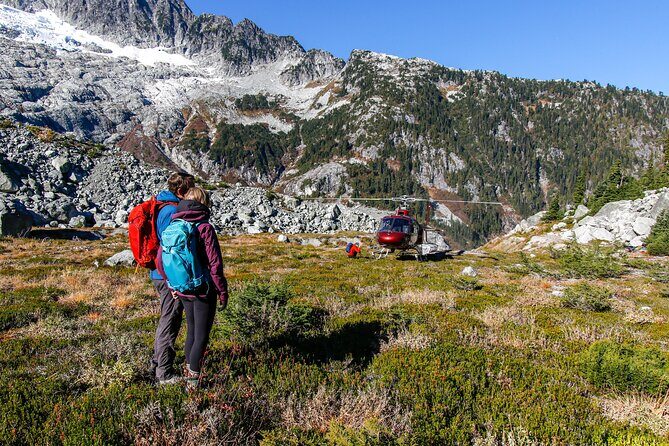 Whistler Guided Day Hiking - What to Expect on a Whistler Guided Day Hike (4–8 Hours, 8:30 Start)