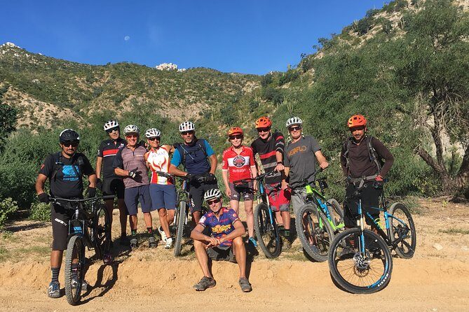 Whistler Half-Day Mountain Bike Tour - A tight Whistler schedule? This half-day format makes sense