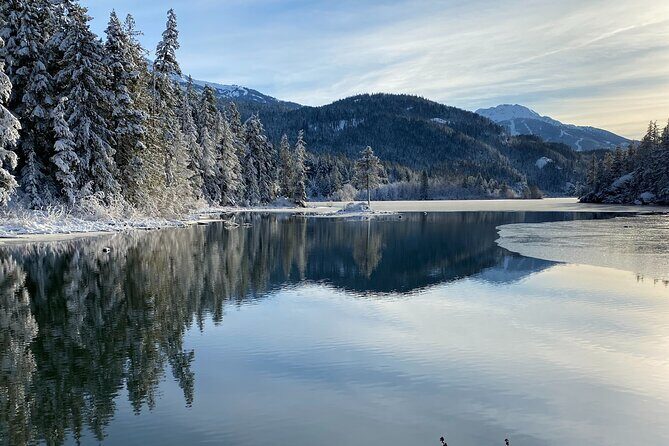 Whistler Half-Day Mountain Bike Tour - What you ride: climbing, trail variety, and those viewpoint pauses