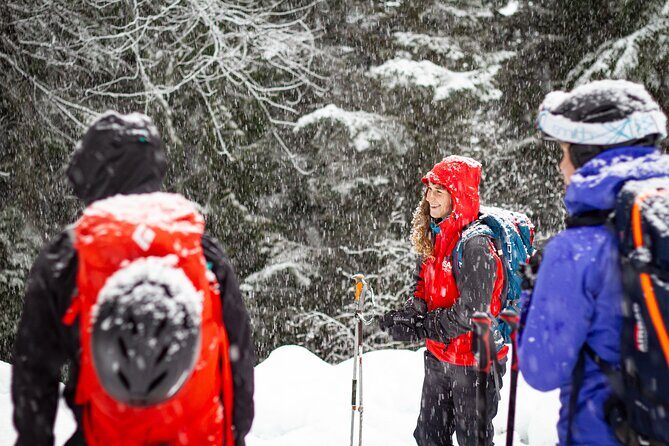 Whistler Intro to Backcountry Skiing and Splitboarding - Getting fresh tracks near Whistler Blackcomb (without the big-crowd feel)