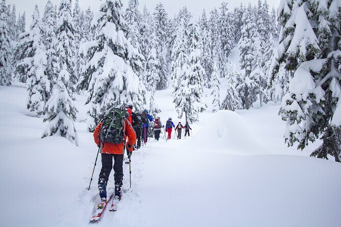 Whistler Intro to Backcountry Skiing and Splitboarding - Stop 1 at Whistler Blackcomb: exploring backcountry just outside the resort