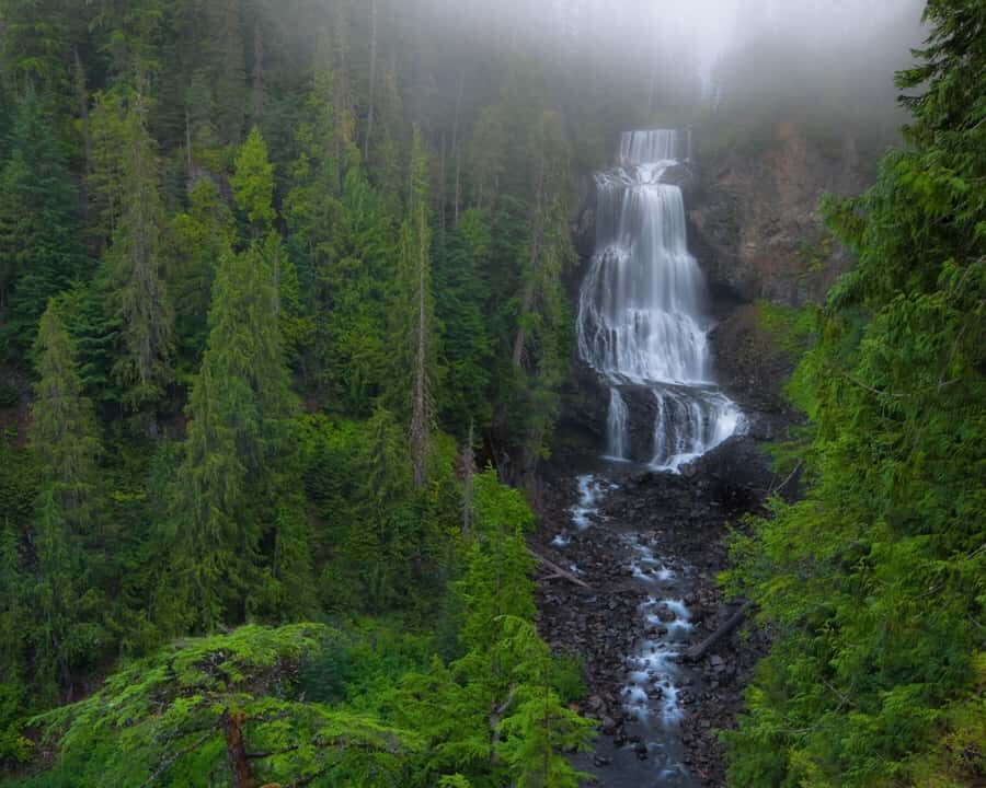Whistler: Morning with the Bears Land Rover Scenic Excursion - The Coastal Mountain Drive: Where the Scenery Fits the Wildlife Goal