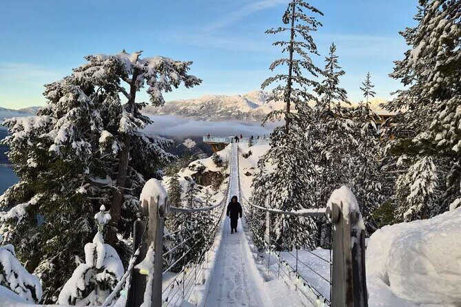 Whistler Sea 2 Sky Gondola, Shannon Falls Small Group Max 12 Tour - Sea to Sky Gondola: Summit Views, Suspension Bridge, and Scenic Trails