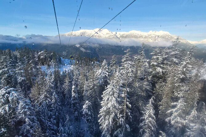 Whistler Sea 2 Sky Gondola, Shannon Falls Small Group Max 12 Tour - Porteau Cove Provincial Park: A Calm Finish With Photo-Stop Energy