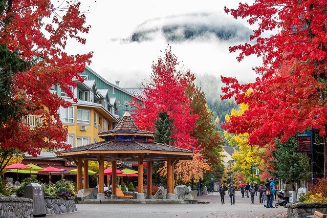 Whistler: Sea to Sky Gondola Shannon and Brandywine Falls Tour - Key points to know before you go