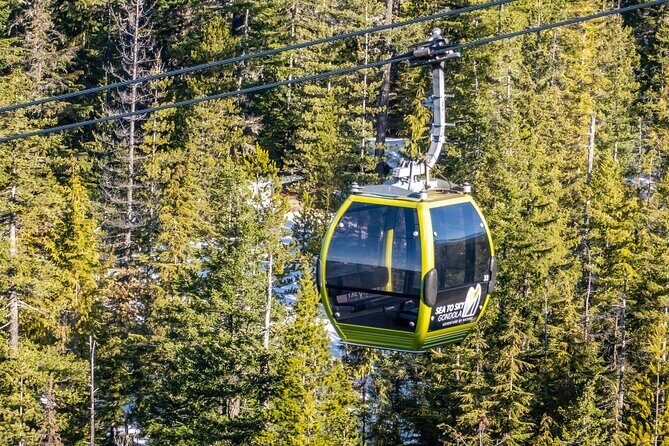 Whistler: Sea to Sky Gondola Shannon and Brandywine Falls Tour - Sea to Sky Gondola and the Sky Pilot Bridge: How to Decide
