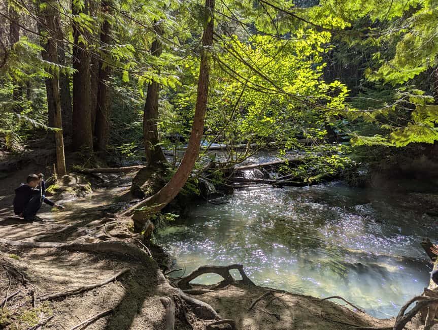 Whistler: Tour, Sensory Nature Experience for Families - Two Trail Options Along a Glacier-Fed Stream