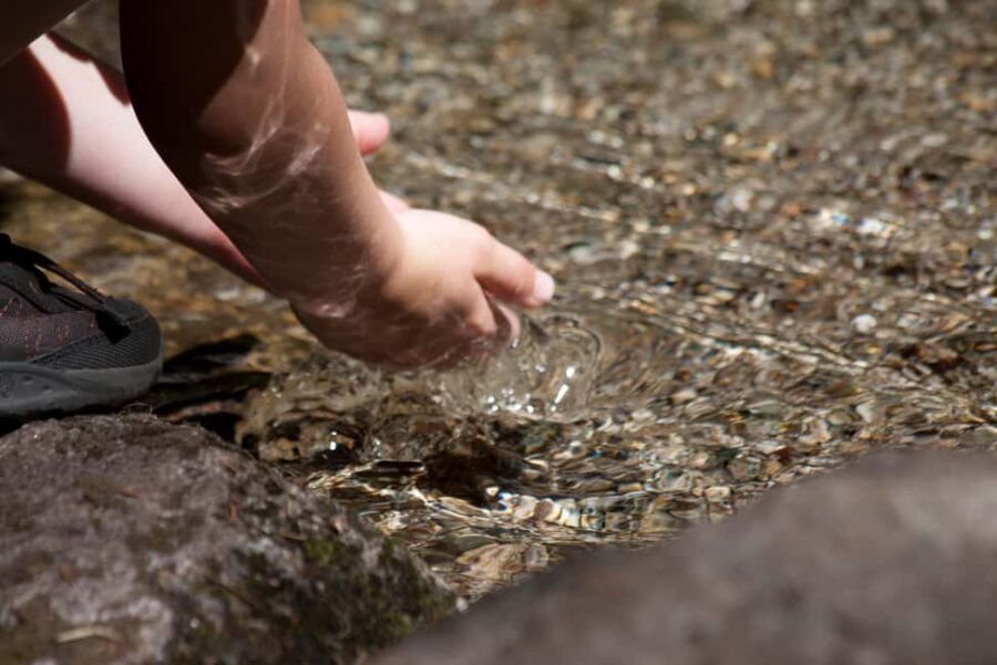 Whistler: Tour, Sensory Nature Experience for Families - The Tiny World Moment: Handheld Microscopes and Story Time