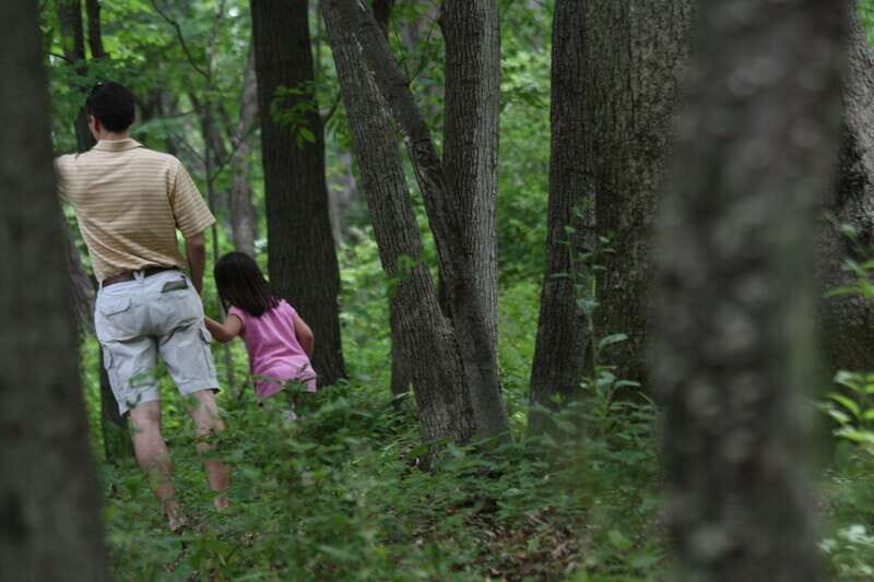 Whistler: Tour, Sensory Nature Experience for Families - Spotting Animals and Clues: Birds, Slugs, Lichen, and Mycelium
