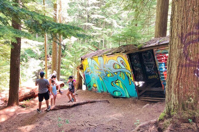 Whistler Train Wreck, Suspension Bridge & Hidden Waterfall Adventure - Who should book this Whistler Train Wreck and Cheakamus Bridge adventure