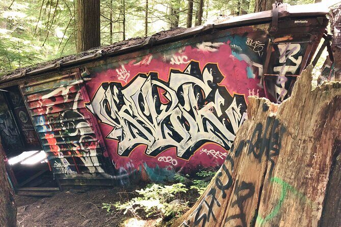 Whistler Train Wreck, Suspension Bridge & Hidden Waterfall Adventure - Stop 1: The Whistler Train Wreck Trail under cedar trees