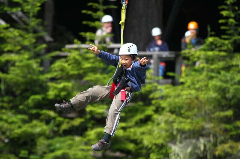 Whistler Zipline Experience: Ziptrek Bear Tour - Key things I’d zoom in on