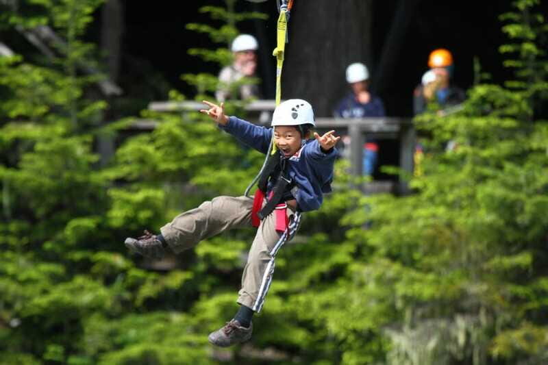 Whistler Zipline Experience: Ziptrek Bear Tour - Four Ziplines, One Big Feeling: Wind, Views, and the “I Can Do This” Moment