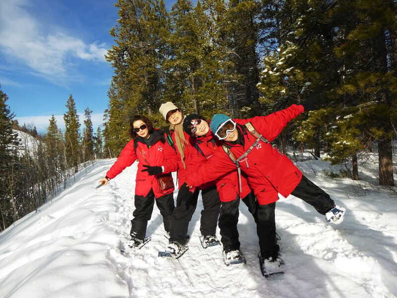 Whitehorse: Half-Day Snowshoeing Tour - Winter wildlife spotting: what you look for on foot