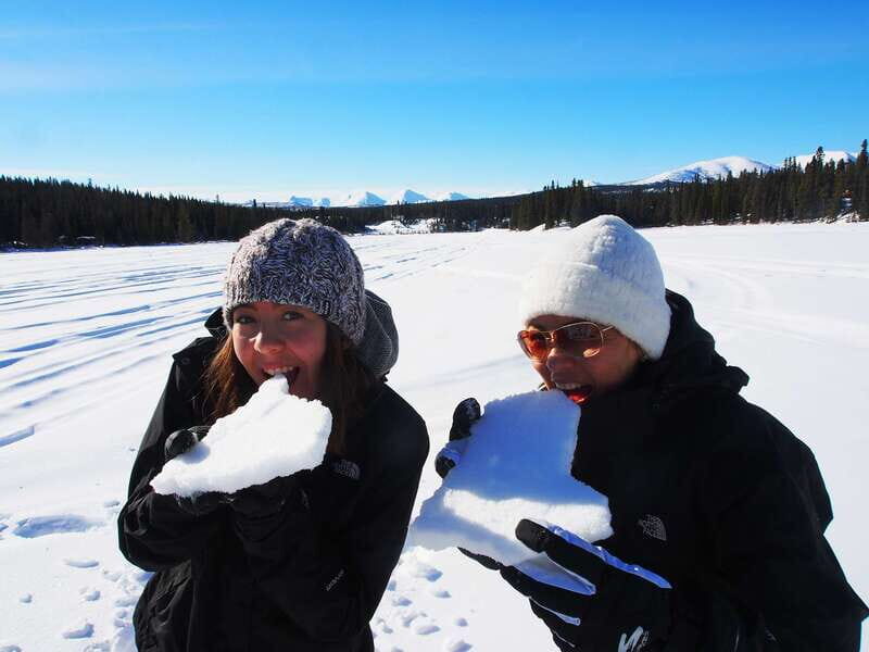 Whitehorse: Half-Day Snowshoeing Tour - Hot drinks and a snack break that keeps the energy up