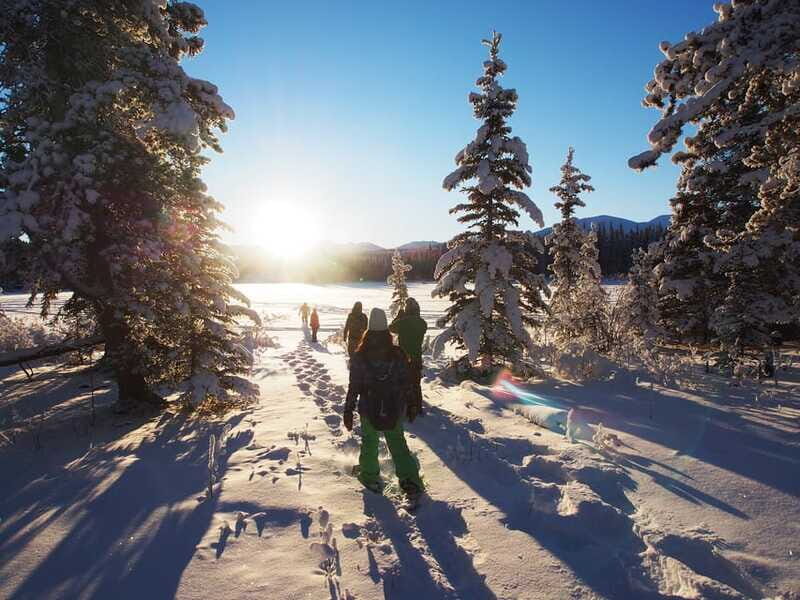 Whitehorse: Half-Day Snowshoeing Tour - What the reviews emphasize: scenery and the guide