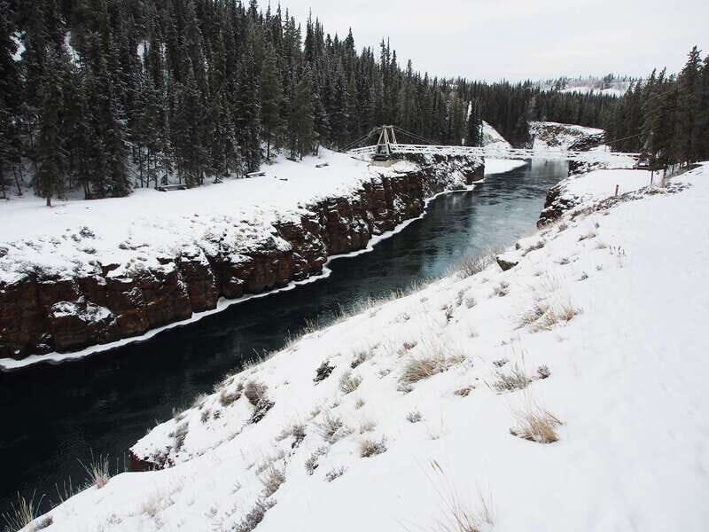 Whitehorse: Half-Day Snowshoeing Tour - From hotel lobby to your first tracks