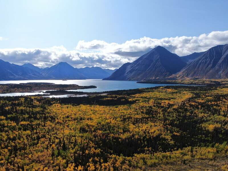 Whitehorse: Kluane - Wildlife & Vistas - Key things to know before you go