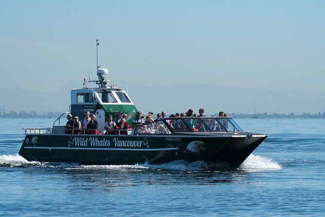 Wild Whale Watching Experience - Open Air Vessel - The marine naturalist: what you learn while you’re watching