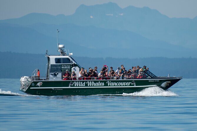 Wild Whale Watching Experience - Open Air Vessel - Eagle Eyes and the anti-exposure suit: how comfort works on an open boat