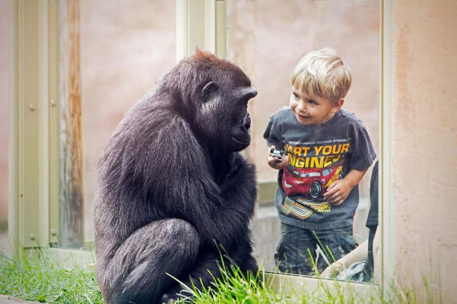 Wilder Institute/Calgary Zoo: Entry Ticket - Key highlights worth knowing before you go
