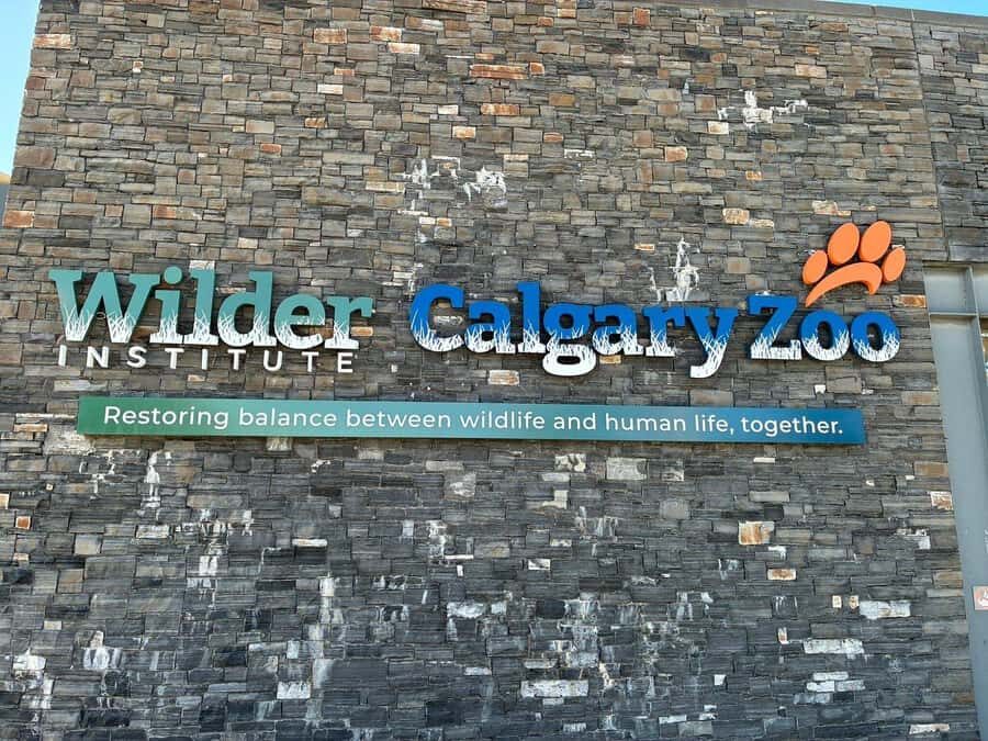 Wilder Institute/Calgary Zoo: Entry Ticket - The penguins and hippos: the close-up moments that keep you there