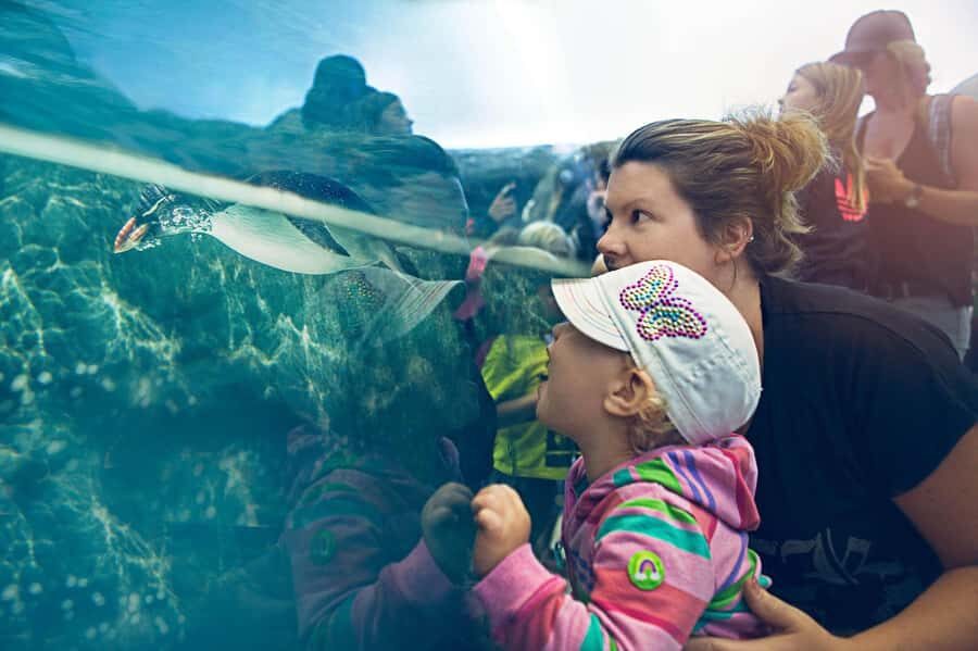 Wilder Institute/Calgary Zoo: Entry Ticket - Kids’ play zones, gardens, and bathrooms where you need them