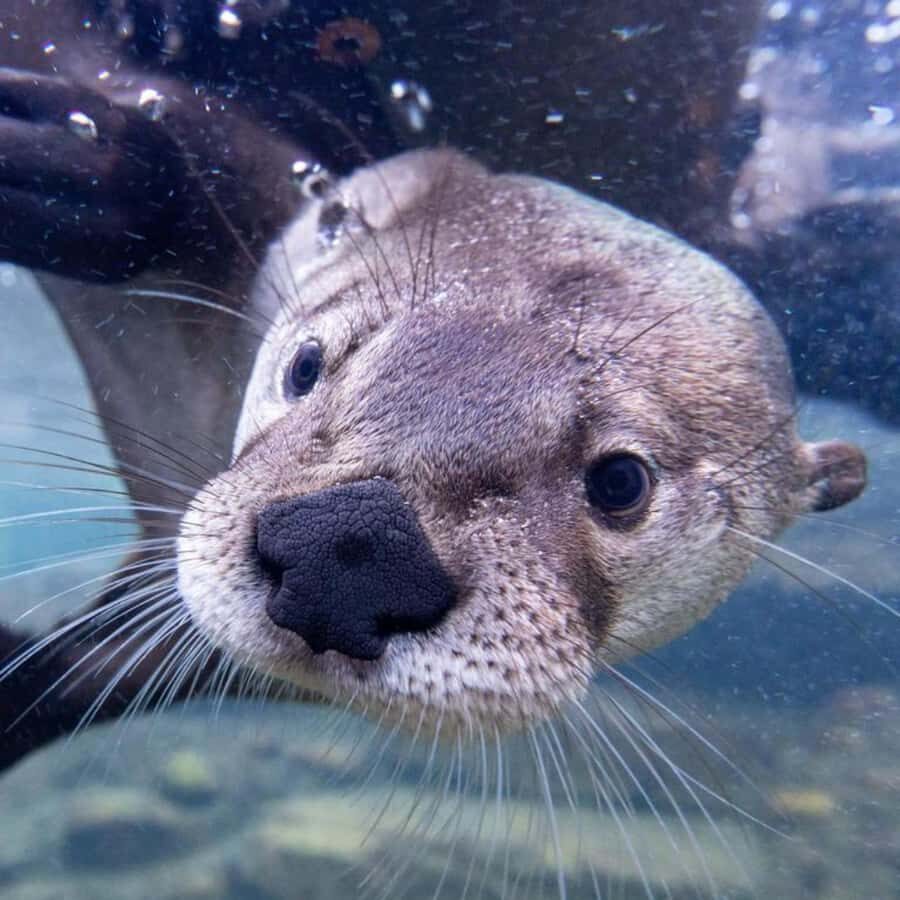 Wilder Institute/Calgary Zoo: Entry Ticket - Indoor options when Calgary weather changes fast
