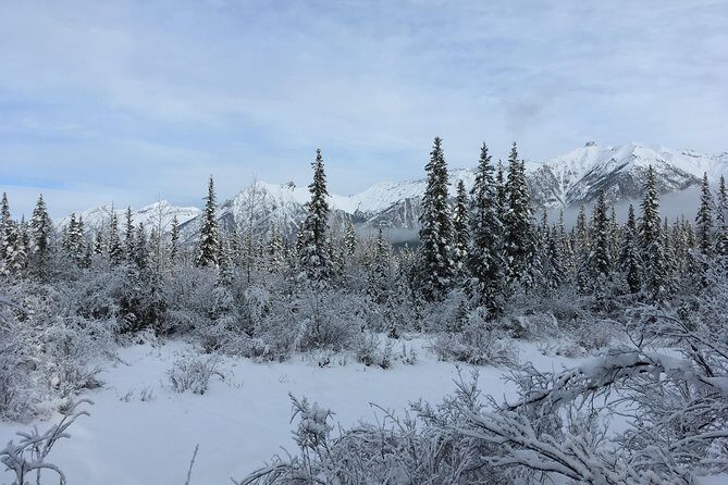 Wilderness and Wildlife Hiking Tour - 3hr Hike - Guide style matters: Isla, Jacob, and Ben bring different flavors