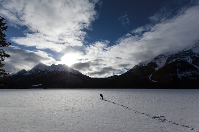Wilderness and Wildlife Hiking Tour - 3hr Hike - Meeting in Canmore: easy start, minimal fuss