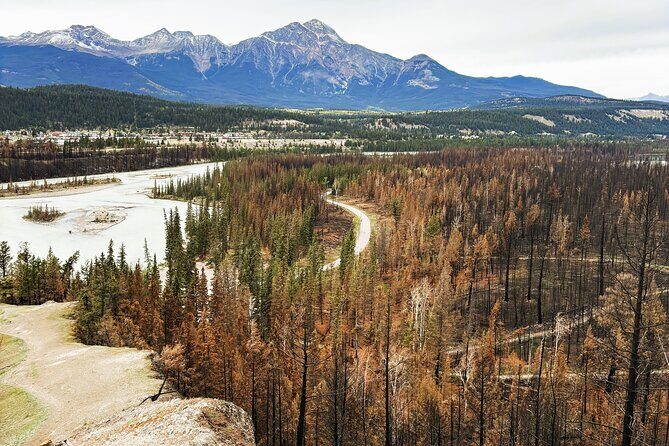Wildfire Peak Nic - Key points worth knowing