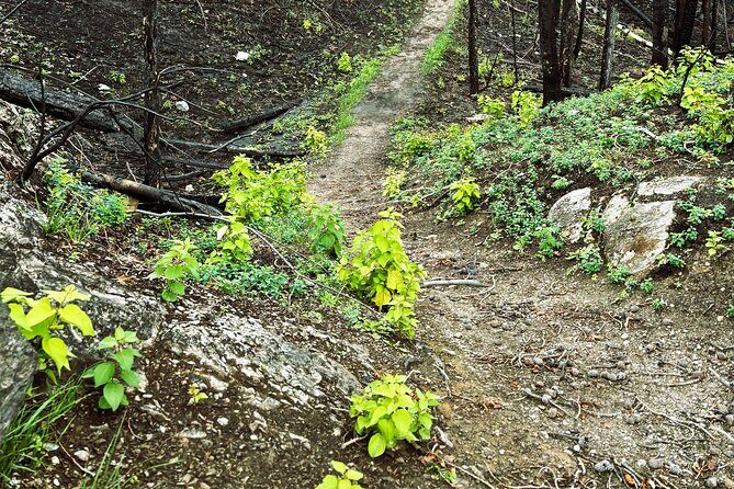 Wildfire Peak Nic - Getting to the summit: 360 views and the packed lunch change