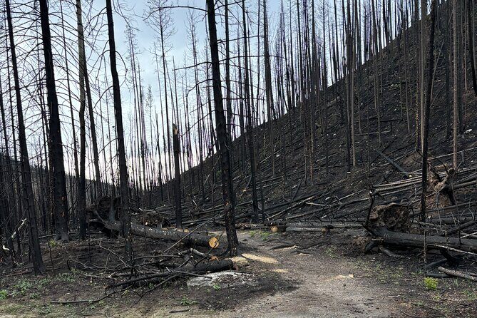 Wildfire Peak Nic - Wildlife from a safe distance: how to enjoy the nature without crowding it