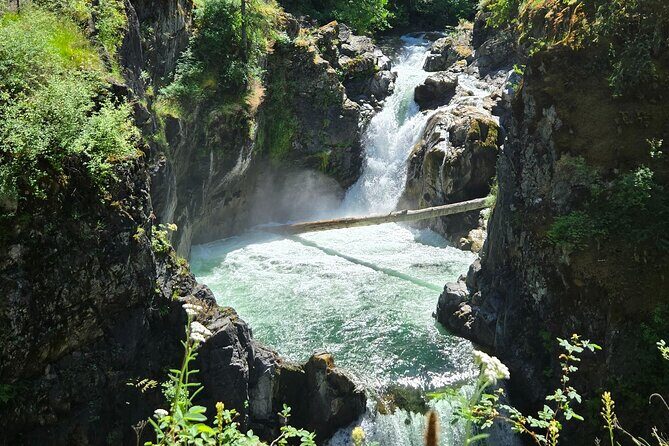 Wildlife, Waterfalls, Caves, Old Growth on Vancouver Island - Key things to know before you go