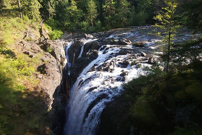 Wildlife, Waterfalls, Caves, Old Growth on Vancouver Island - What you’re paying for: small-group value, guided caving, and multiple parks